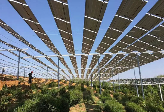 農(nóng)光互補和林光互補有什么區(qū)別？