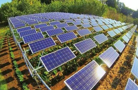 建設(shè)農(nóng)光互補光伏電站有什么好處